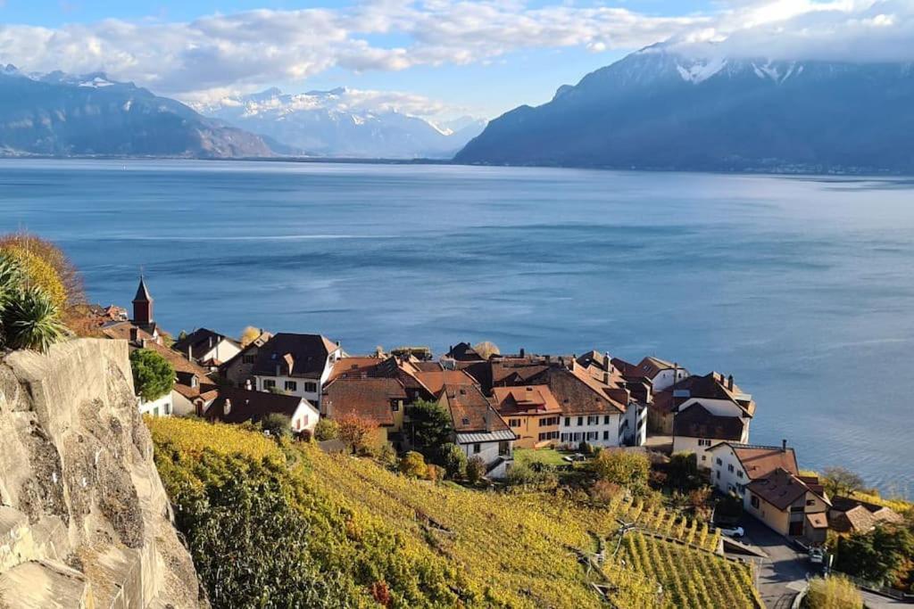 Le Toit De Chardonne - Entre Alpes Et Lac Leman Luaran gambar