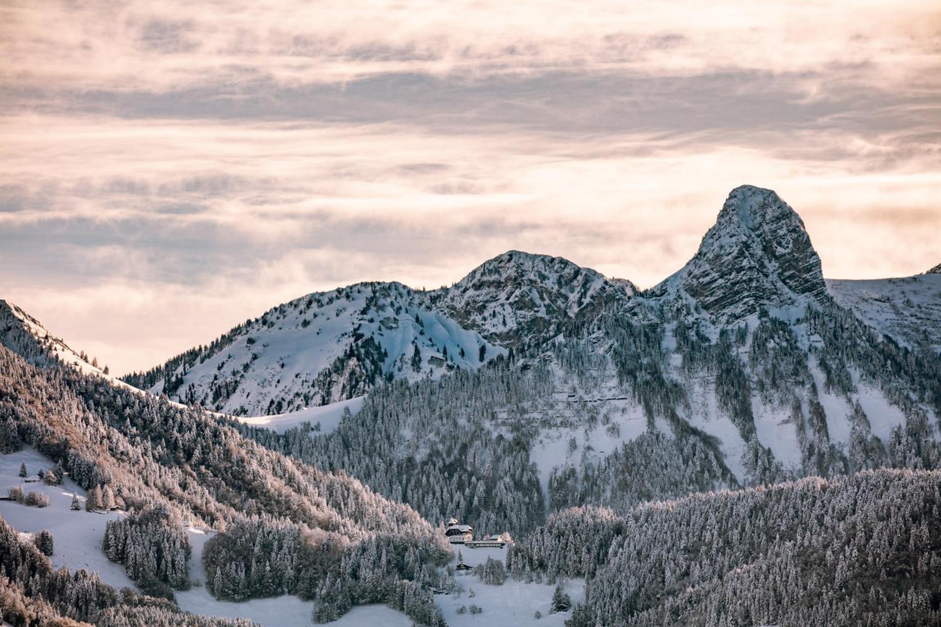Le Toit De Chardonne - Entre Alpes Et Lac Leman Luaran gambar