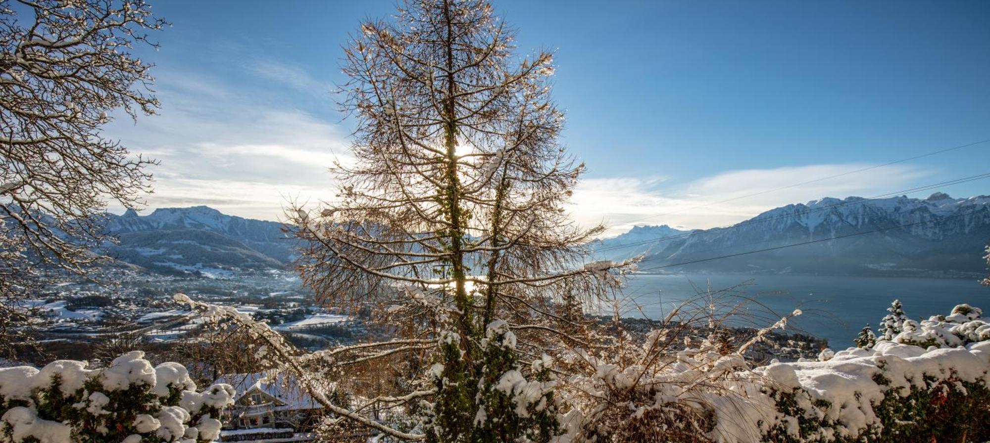 Le Toit De Chardonne - Entre Alpes Et Lac Leman Luaran gambar